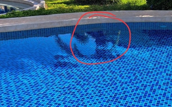 Giám định hồ bơi tại resort Phan Thiết trong vụ án bé trai người Nhật đuối nước