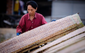Về An Thái ăn bún song thằn "tiến vua"