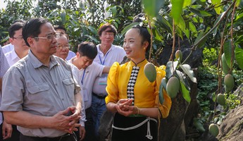 Sơn La: Người dân đổi đời nhờ trồng cây ăn quả 