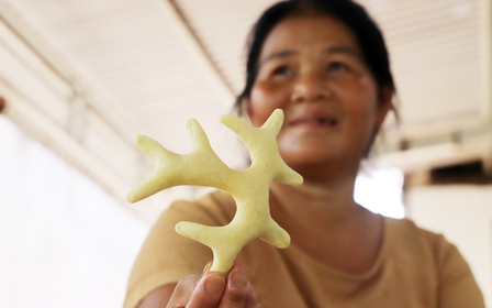 Nghề làm bánh gừng, bánh ớt của người Khmer đang dần mai một