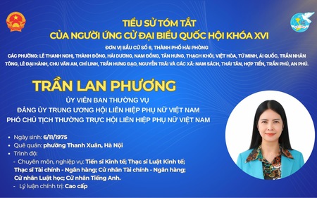 Bà Trần Lan Phương ứng cử Đại biểu Quốc hội khóa XVI tại Đơn vị bầu cử số 6, thành phố Hải Phòng