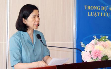 Sửa đổi Luật Bình đẳng giới: Nhiều giải pháp tham vấn sát thực tiễn