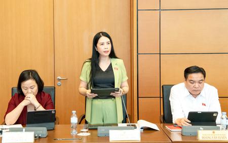 Đại biểu Quốc hội Trần Lan Phương: Quản lý hải quan cần giúp doanh nghiệp làm đúng, tự sửa sai