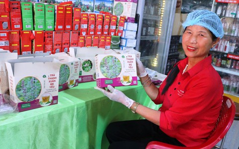 U50 chuyển đổi xanh, gây dựng hợp tác xã dược liệu sinh thái