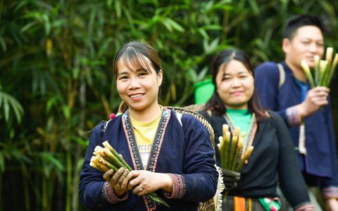 Phát triển kinh tế hàng hóa từ rừng núi: Hướng đi bền vững cho phụ nữ dân tộc thiểu số