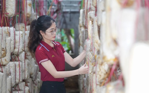 Biến phế phẩm thành "cần câu cơm", nữ kỹ sư trẻ góp sức vì người nghèo