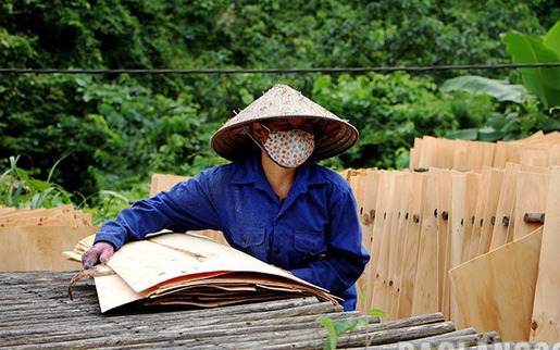 Lao động thời vụ bị tai nạn có được bồi thường không?