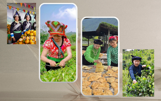 Những "bông hoa" Hợp tác xã thúc đẩy, truyền cảm hứng phát triển kinh tế của phụ nữ