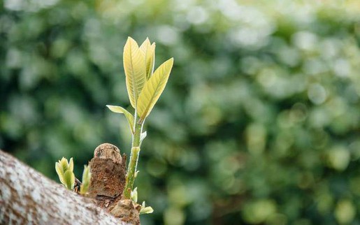 Biết ơn những dang dở để trưởng thành