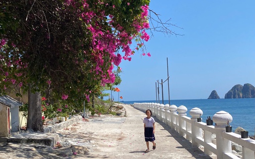 Người dân đảo Bích Đầm đợi điện, đợi đò và đợi... cơ hội đổi đời