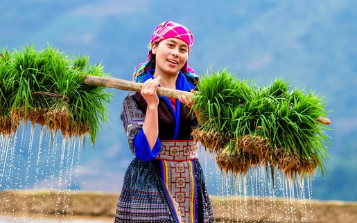 Đề án "Hỗ trợ phụ nữ khởi nghiệp" - Bài 2: Phụ nữ vượt định kiến, xây tương lai