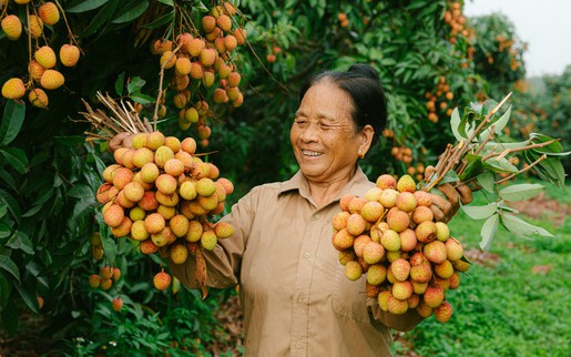 "Hỗ trợ phụ nữ khởi nghiệp" - Bài cuối: Đề án 2415 - Kỳ vọng bứt phá