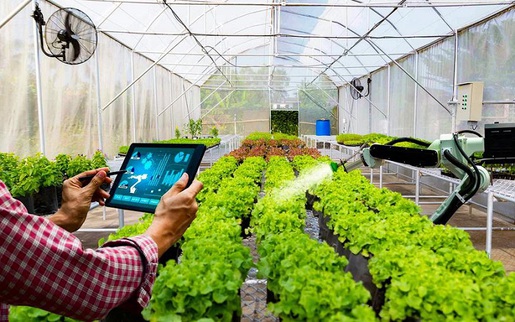 Minh bạch nguồn gốc thực phẩm - Bài 3: Những chiến lược triển khai tối ưu cho doanh nghiệp