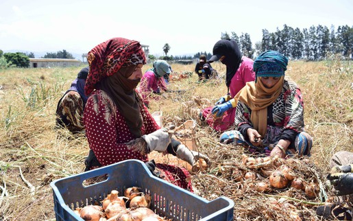 Xung đột tại Trung Đông làm nới rộng khoảng cách giới ở châu Á - Thái Bình Dương