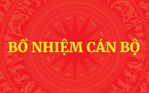 Thủ tướng Chính phủ phê chuẩn kết quả bầu Chủ tịch, Phó Chủ tịch UBND cấp tỉnh nhiệm kỳ 2026-2031