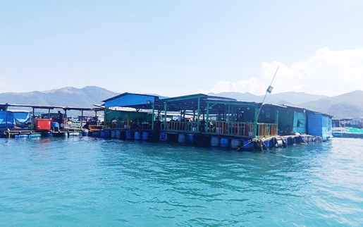 Khánh Hòa: Vùng vịnh "nghẹt thở" vì bè nổi tự phát