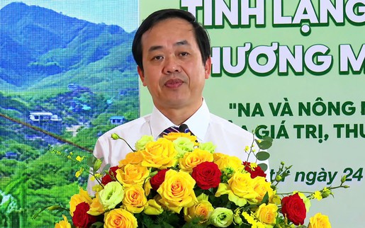 Thương mại điện tử mở lối cho na Chi Lăng và nông sản Lạng Sơn