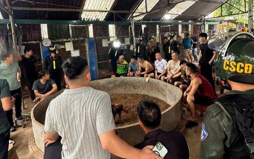 Lạng Sơn: Bắt quả tang 21 đối tượng tham gia cá cược đá gà quy mô lớn