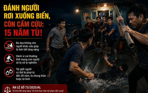 Án lệ về "phạm tội đến cùng" về hành vi đánh ngã nạn nhân xuống biển còn cấm cứu