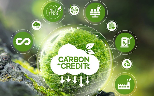 Sử dụng thị trường carbon là xu thế tất yếu để Việt Nam chuyển dịch sang kinh tế xanh