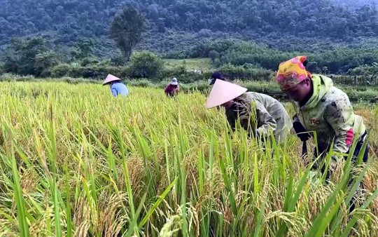 Cuộc sống của đồng bào Rục "sang trang" nhờ ơn Đảng