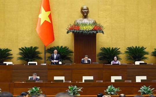 Sửa Luật Sở hữu trí tuệ: Bỏ điều kiện kinh doanh, cần giải pháp kiểm soát hiệu quả giám định