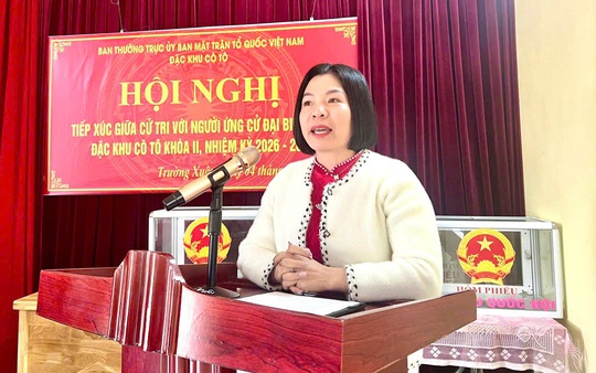 "Đại biểu HĐND không phải để phát biểu cho hay, mà để làm cầu nối thật sự giữa Nhân dân với chính quyền"