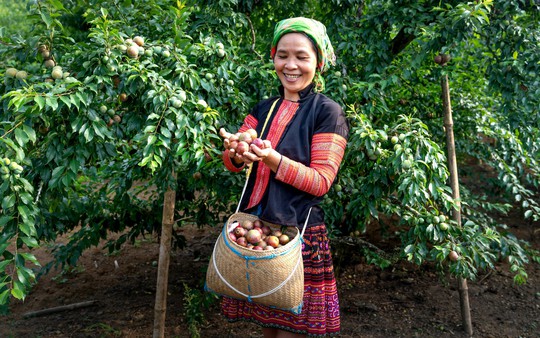 Đề án "Hỗ trợ phụ nữ khởi nghiệp": Tăng cường bình đẳng giới trong phát triển kinh tế
