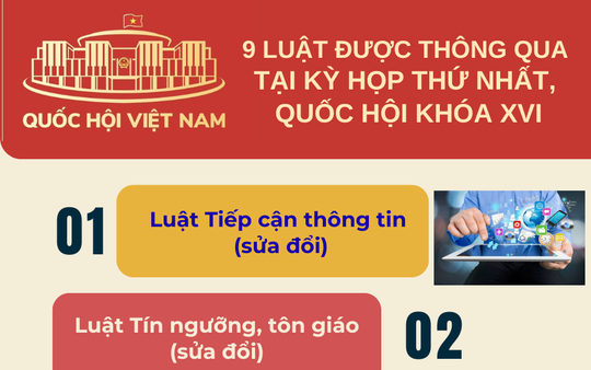 Infographic: 9 luật được thông qua tại Kỳ họp thứ Nhất, Quốc hội khóa XVI