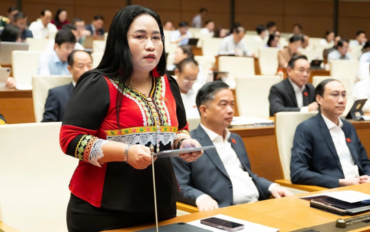 Bình đẳng giới ở Việt Nam sau 40 năm đổi mới: Thành tựu phản bác xuyên tạc