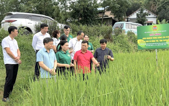 Tuyên Quang: Hội Nông dân kiểm tra công trình chào mừng Đại hội MTTQ Việt Nam XI