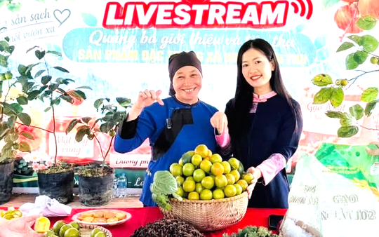 Tiêu chuẩn chất lượng cho sản phẩm khởi nghiệp: Chuẩn bị sao cho đúng và tiết kiệm?