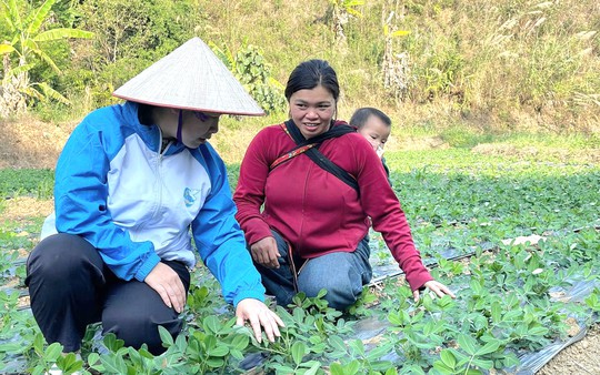 Lai Châu: 80% hội viên, phụ nữ được tuyên truyền, nâng cao nhận thức về khởi nghiệp, phát triển kinh tế