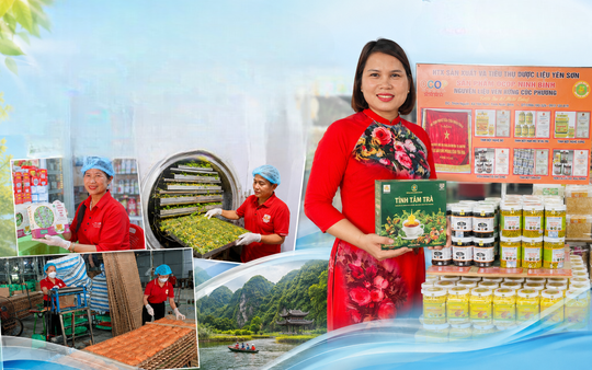 25 dự án vào chung kết cuộc thi "Phụ nữ khởi nghiệp" tỉnh Ninh Bình 2026