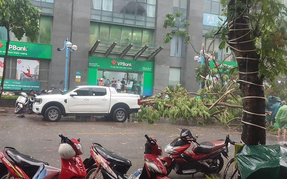 Hà Nội mưa như trút, cây cối đổ rạp, ô tô thoát nạn trong gang tấc 
