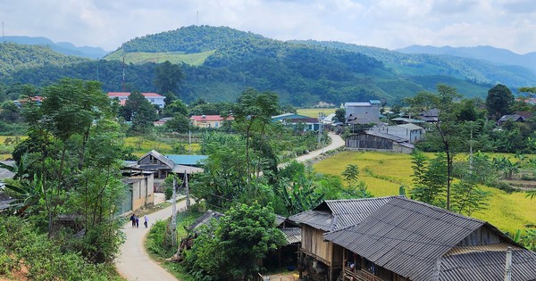 phunuvietnam.vn