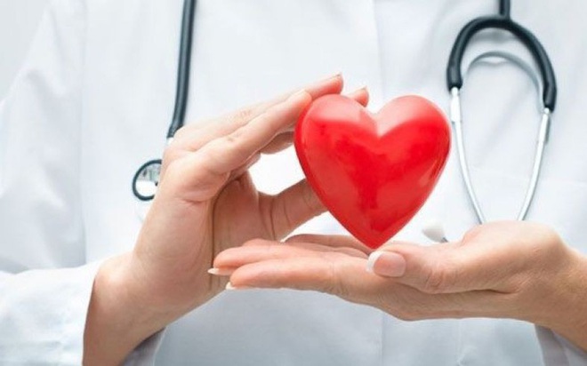 Quả táo mèo có tác dụng gì? Quả táo mèo có tác dụng gì?