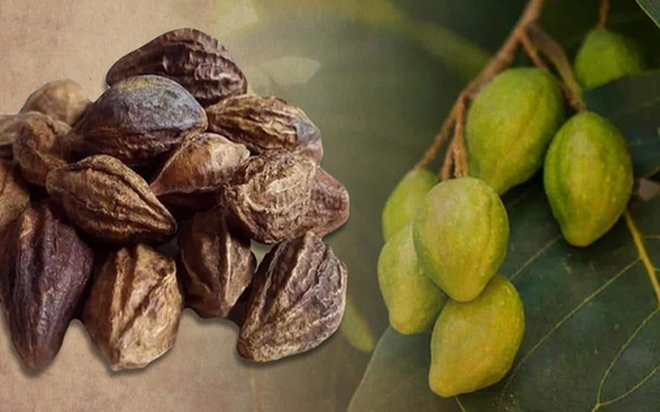 05 bài thuốc từ quả kha tử