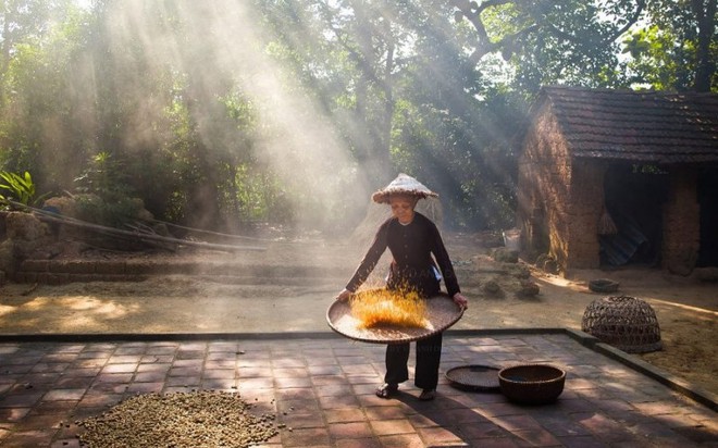 hình ảnh khoảng sân nhà ngập nắng mỗi trưa hè » Báo Phụ Nữ Việt Nam