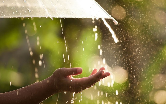 Gọi về những cơn mưa mùa hạ