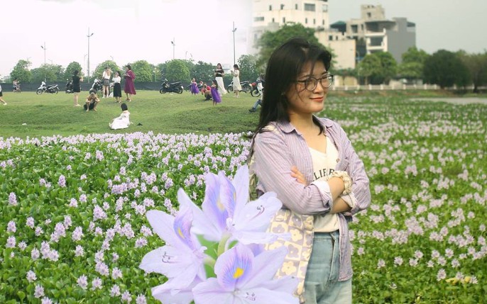 Giới trẻ Hà Nội đổ xô đi chụp ảnh với loài hoa lạ mà quen