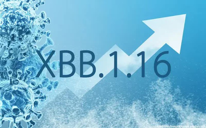 Biến thể XBB.1.16 của Omicron khiến số ca nhiễm Covid-19 tại Thái Lan gia tăng có nguy hiểm không?