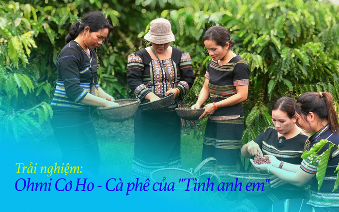 Trải nghiệm: Ohmi Cơ Ho - Cà phê của "Tình anh em"