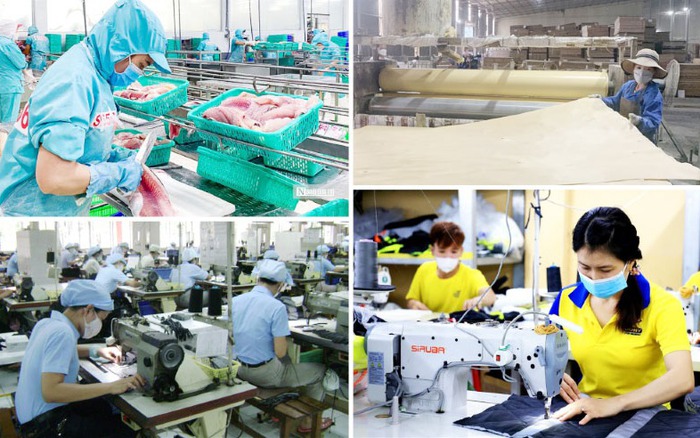 Kế hoạch hành động của Chính phủ về phát triển kinh tế tư nhân
