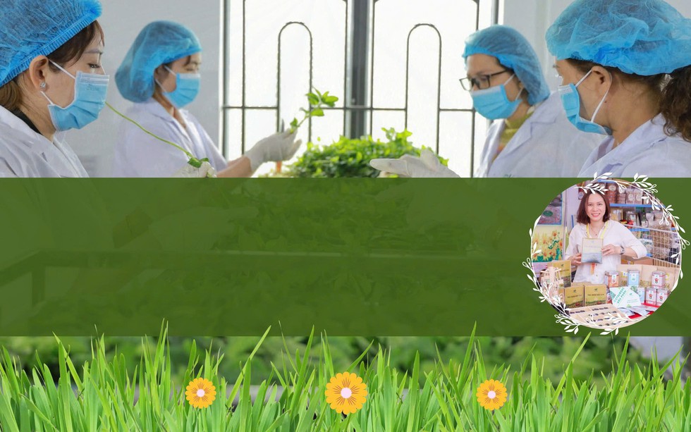 Đưa triết lý sống xanh vào kinh doanh dược liệu